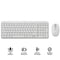 Logitech MK250 Compact Wireless Mouse and Keyboard (Off-White) (920-013560)