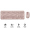 Logitech MK250 Compact Wireless Mouse and Keyboard (Rose) (920-013561)