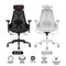 Asus ROG Destrier Core Ergo Gaming Chair with Futuristic Cyborg Aesthetic (Black, White)