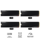 Samsung 9100 Pro PCIe 5.0 x4 NVMe M.2 SSD with Heatsink | DataBlitz