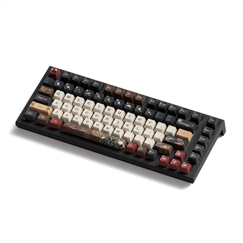 Akko TAC75 HE Lord of Mysteries Wired ARGB Mechanical Keyboard (Akko AstroAim Magnetic Switch)