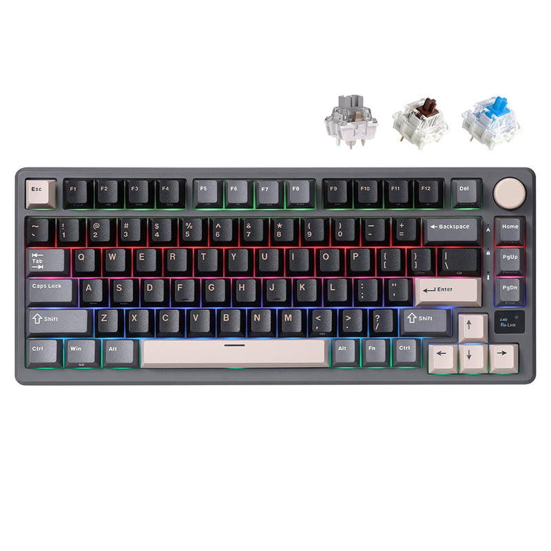 Royal Kludge RK-M75 Tri-Mode RGB 81 Keys Hot-Swappable Mechanical Keyboard Phantom (Blue Switch, Brown Switch, K Silver Switch)
