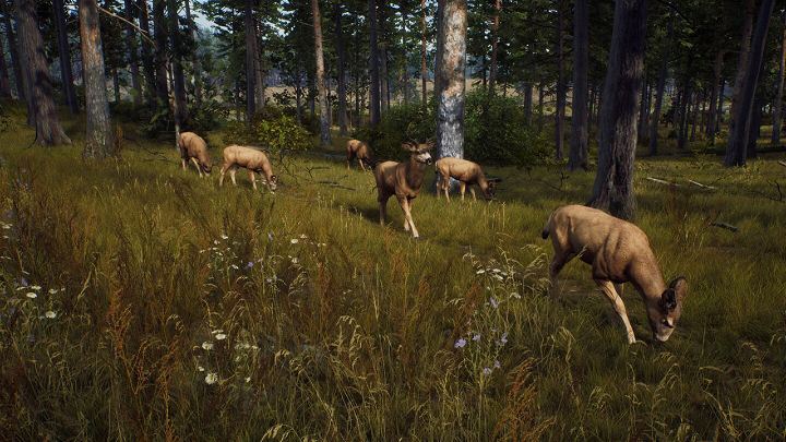 PS5 Way Of The Hunter (US) (ENG/FR)