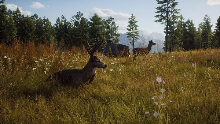 PS5 Way Of The Hunter Hunting Season One  (ENG/EU)