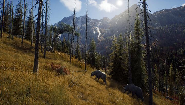 PS5 Way Of The Hunter Hunting Season One  (ENG/EU)