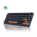 Royal Kludge RK-H81 Tri-Mode RGB 81 Keys Hot Swappable Mechanical Keyboard Star Night (Sky Cyan Switch)