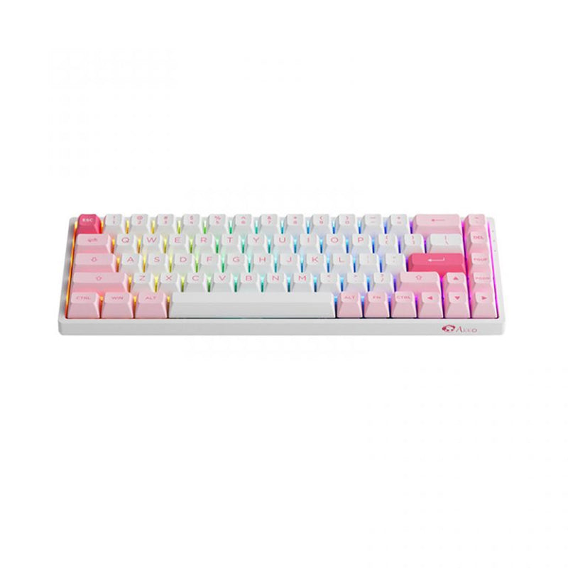 Akko Prunus Lannesiana 3068B Plus Multi-Modes RGB Mechanical Keyboard (Akko CS Jelly Purple)