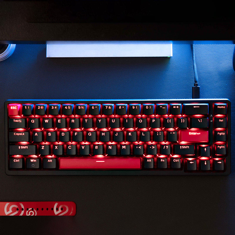 Keychron Lemokey X6 QMK Red Backlight 65% Wired Mechanical Gaming Keyboard (Brown Switch) (X6-A3)