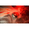 SteelSeries QCK CS2 Dragon Lore Edition Cloth Gaming Mouse Pad XXL (63448)