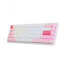 Akko Prunus Lannesiana 3068B Plus Multi-Modes RGB Mechanical Keyboard (Akko CS Jelly Purple)