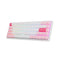 Akko Prunus Lannesiana 3068B Plus Multi-Modes RGB Mechanical Keyboard (Akko CS Jelly Purple)