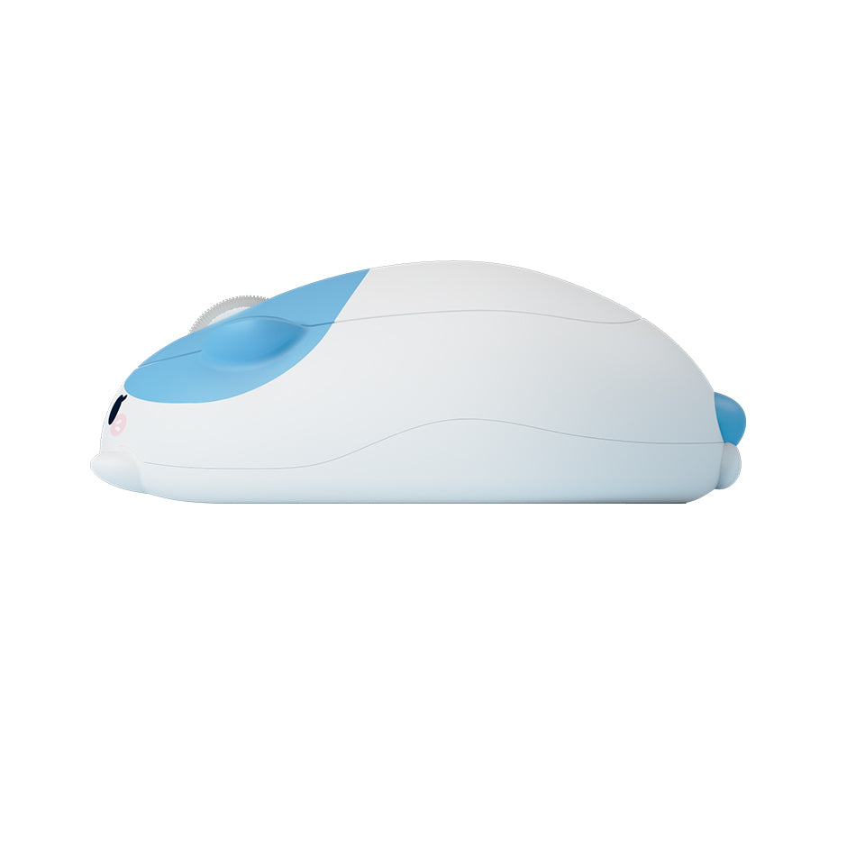 Okat Computer Mouse Roll over image to zoom in