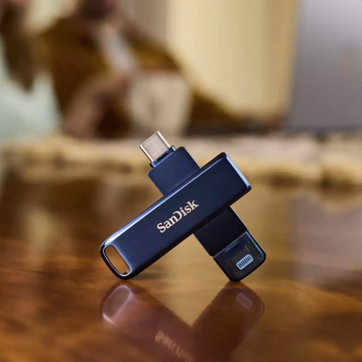 Sandisk Phone Drive for iPhone | DataBlitz