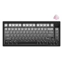 Akko 5075 V3 Multi-Mode RGB Hot-Swappable Mechanical Keyboard (Gradient Black)
