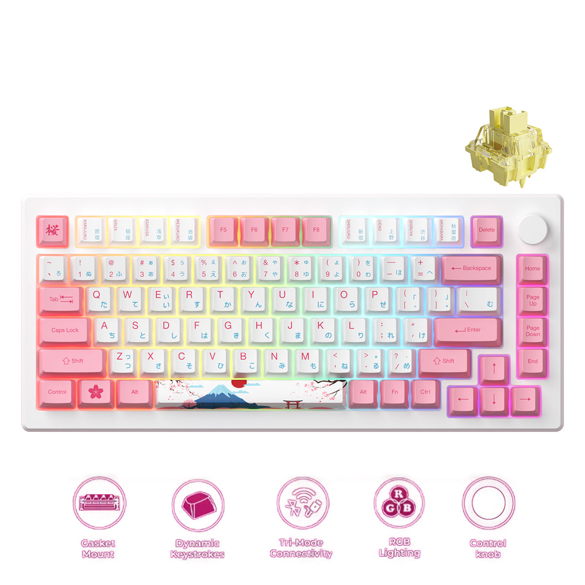 Akko MOD 007B HE PC Tri-Mode RGB Mechanical Keyboard 