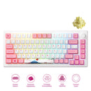 Akko MOD 007B HE PC Tri-Mode RGB Mechanical Keyboard 