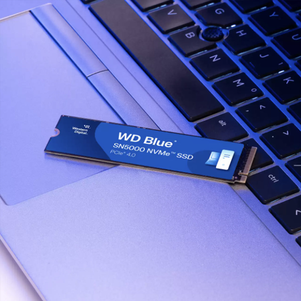 WD Blue SN5000 1TB NVMe PCIe Gen 4.0 M.2 2280 Up to 5,150MB/s Read Internal SSD (WDS100T4B0E)