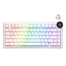 Ajazz AK820 V2 RGB Tri-Mode Mechanical Keyboard (Contour Lines White) (White Peach Switch)