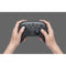 NSW Pro Controller Grey (Asian)