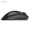 Pulsar Xlite V4 Ultralight Weight eSports Mouse Size 3 (Black, White) (PXL431, PXL432)