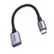 Ugreen USB-C Male to USB 3.0 A Female OTG Cable - 10CM (US378/70889)