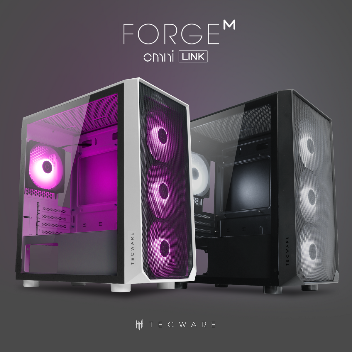 Tecware Forge M Omni Link Mesh Front /TG Side Panel High Airflow PC Case (Black, White)