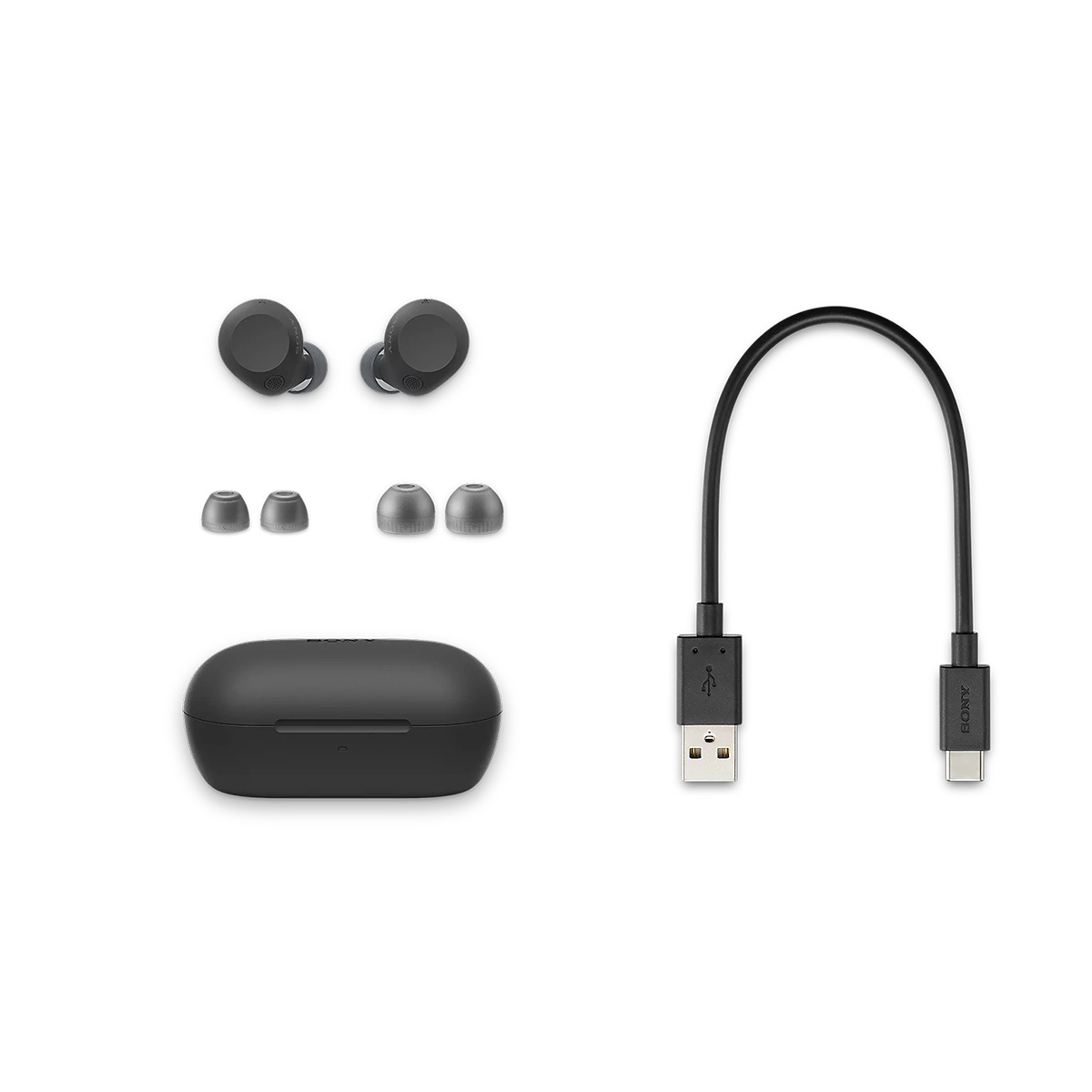 Sony WF-C710N Wireless Noise Cancelling Earbuds | DataBlitz
