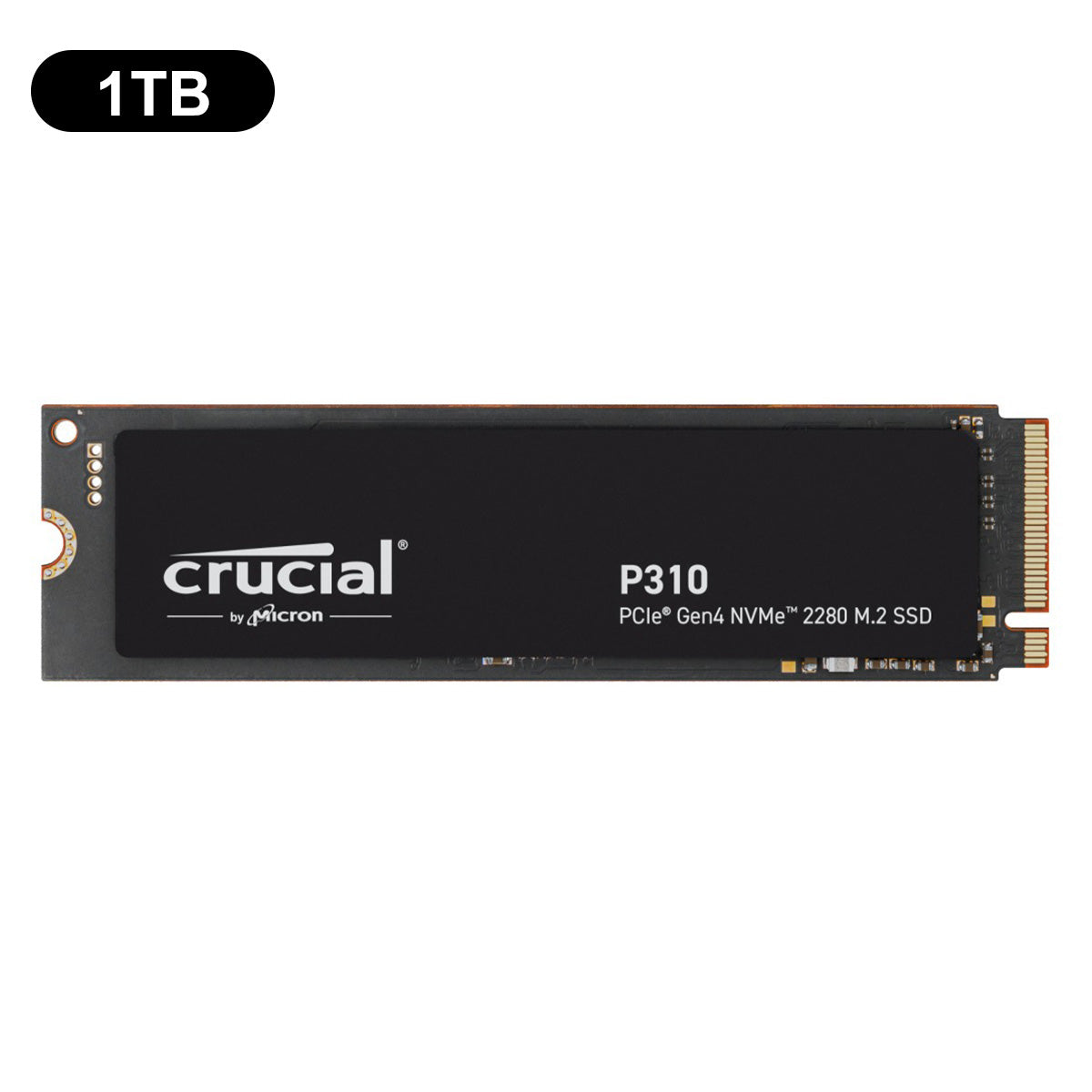Crucial P310 PCIe Gen4 NVMe 2280 M.2 SSD | DataBlitz