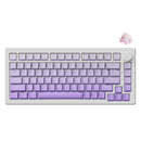 Akko 5075 V3 Multi-Mode RGB Hot-Swappable Mechanical Keyboard (Gradient Puple)
