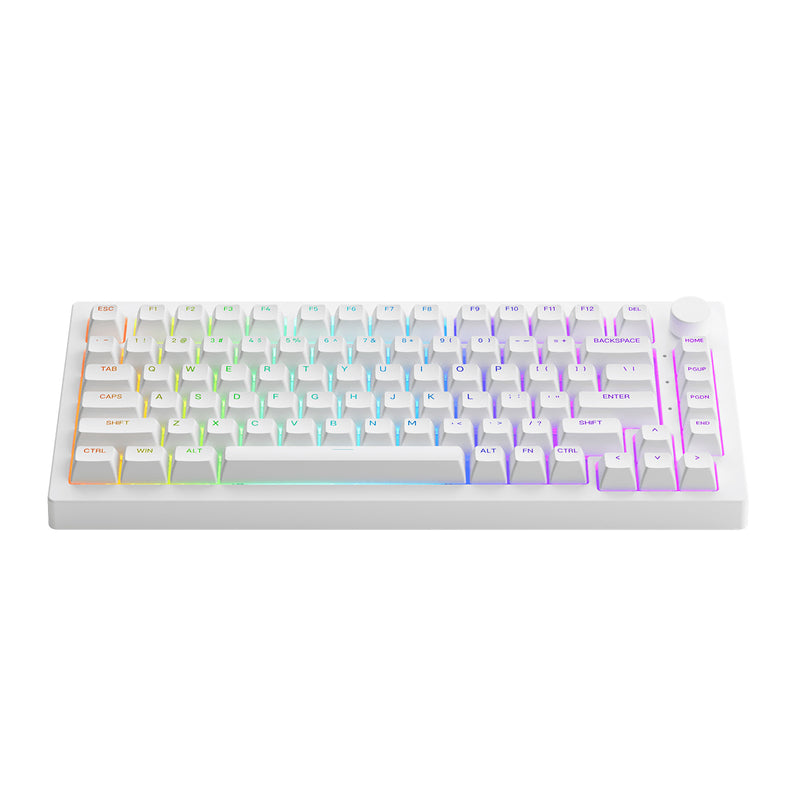 Akko 5075S Shine-Through RGB Hot-Swappable Mechanical Keyboard White (Akko Cs Wine Red) - DataBlitz