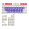 104 Doubleshot OEM PBT Keycaps (Team Matching Color) - DataBlitz
