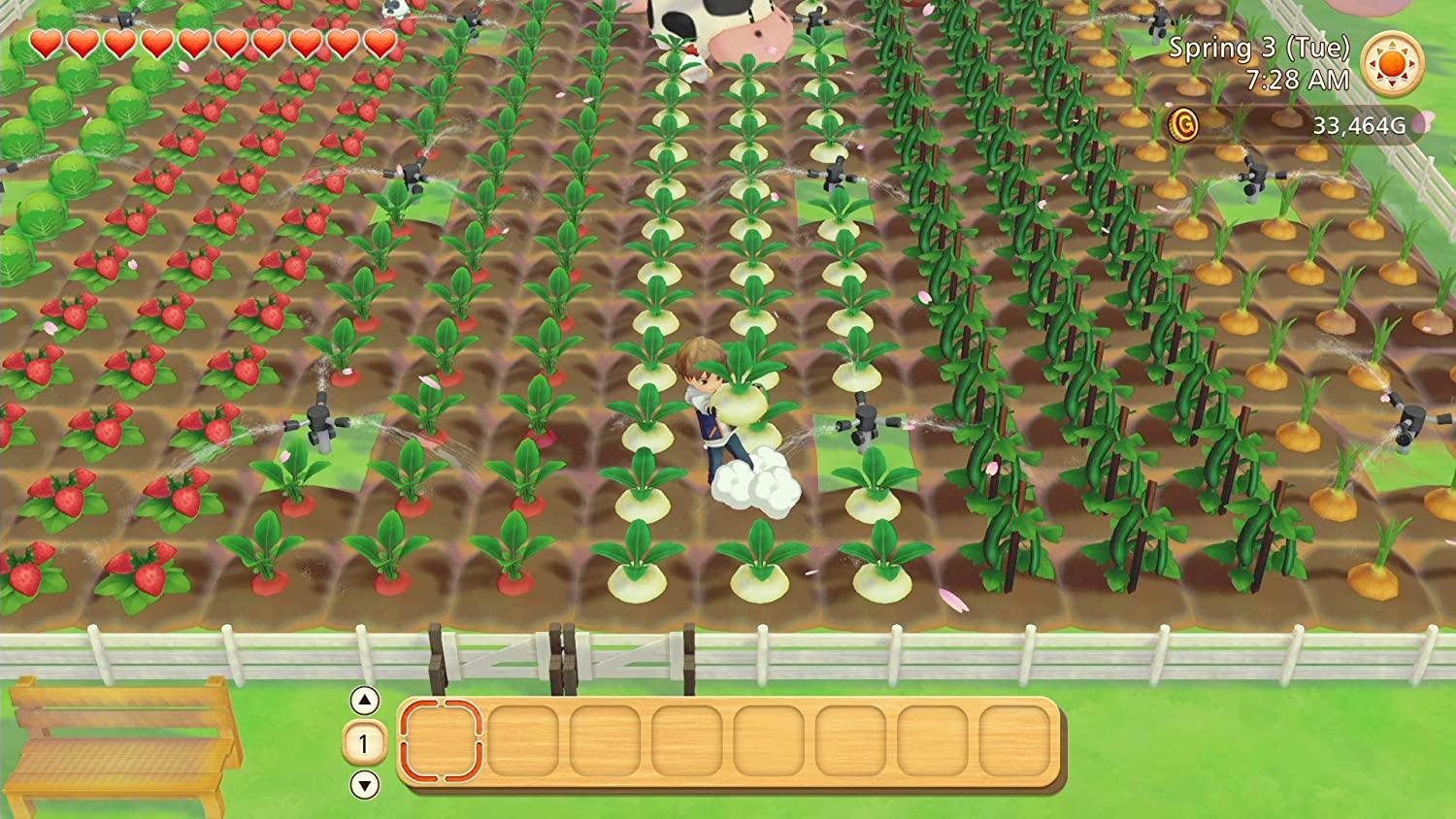 NINTENDO SWITCH STORY OF SEASONS: PIONEERS OF OLIVE TOWN