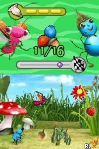 NDS MISS SPIDERS (HARVEST TIME HOP N FLY) - DataBlitz