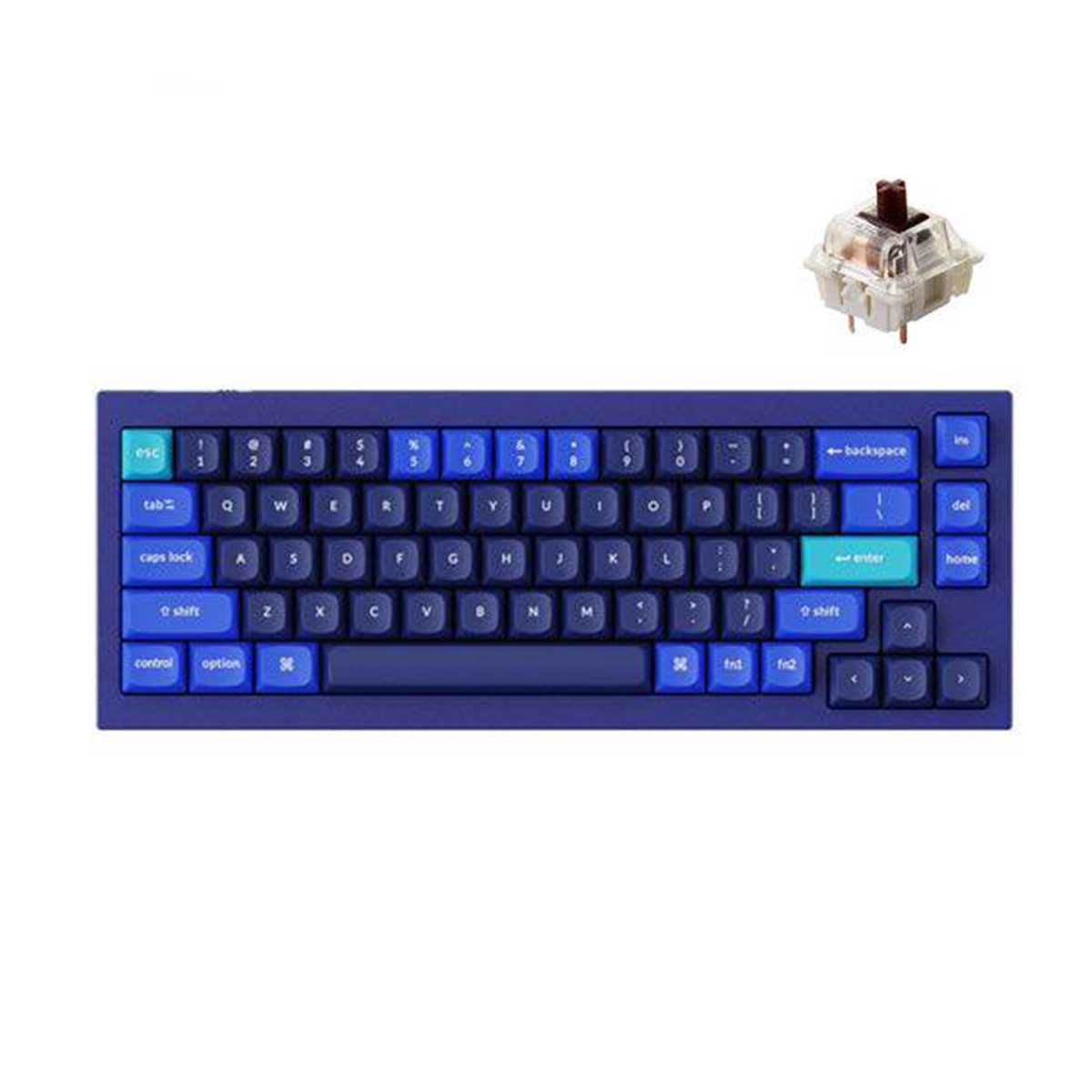 Keychron Q3 QMK Custom Mechanical Fully Assembled Navy Blue Wired Keyboard (Brown Switch) (Q3J3)