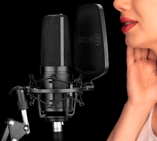 BOYA BY-M1000 Large Diaphragm Condenser Microphone - DataBlitz