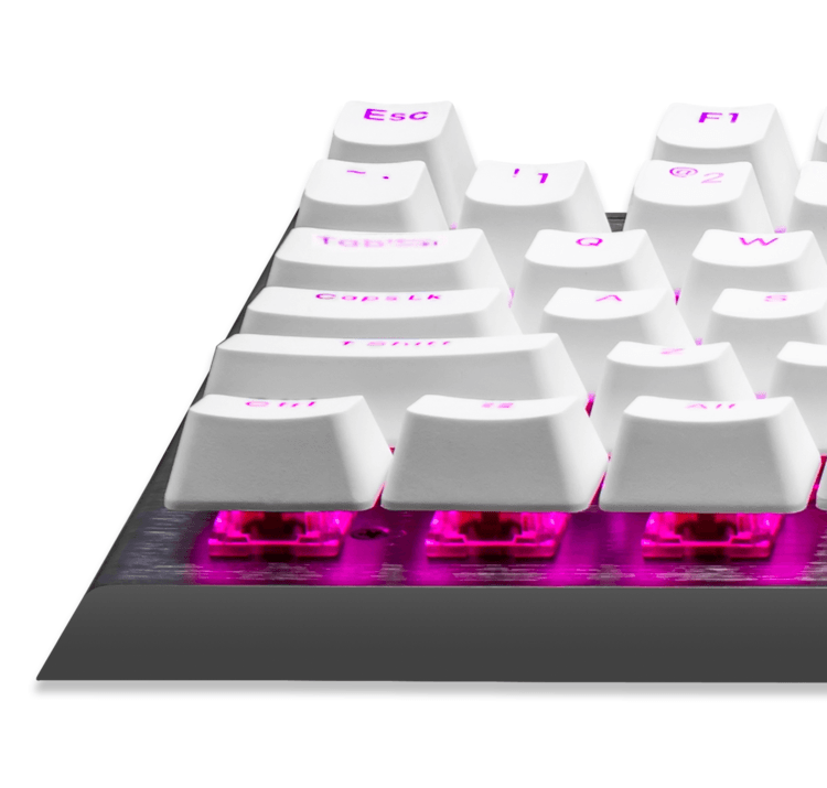 COOLER MASTER PBT BACKLIT KEYCAP UPGRADE SET (WHITE) - DataBlitz