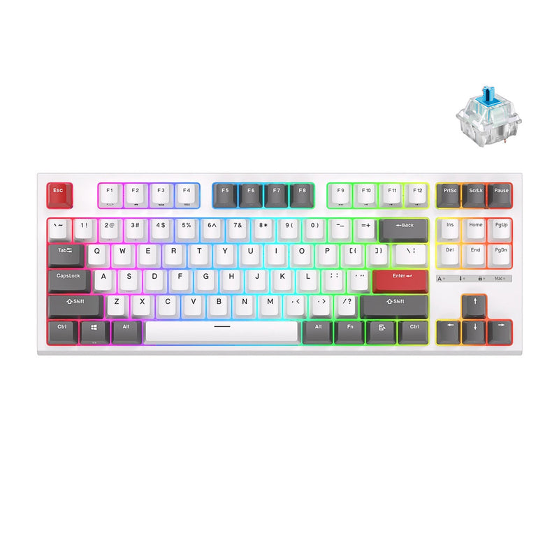 Royal Kludge RK-R87 Single-Mode RGB 87 Keys (Blue Switch)