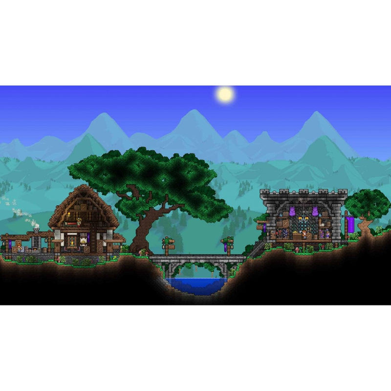 NINTENDO SWITCH TERRARIA