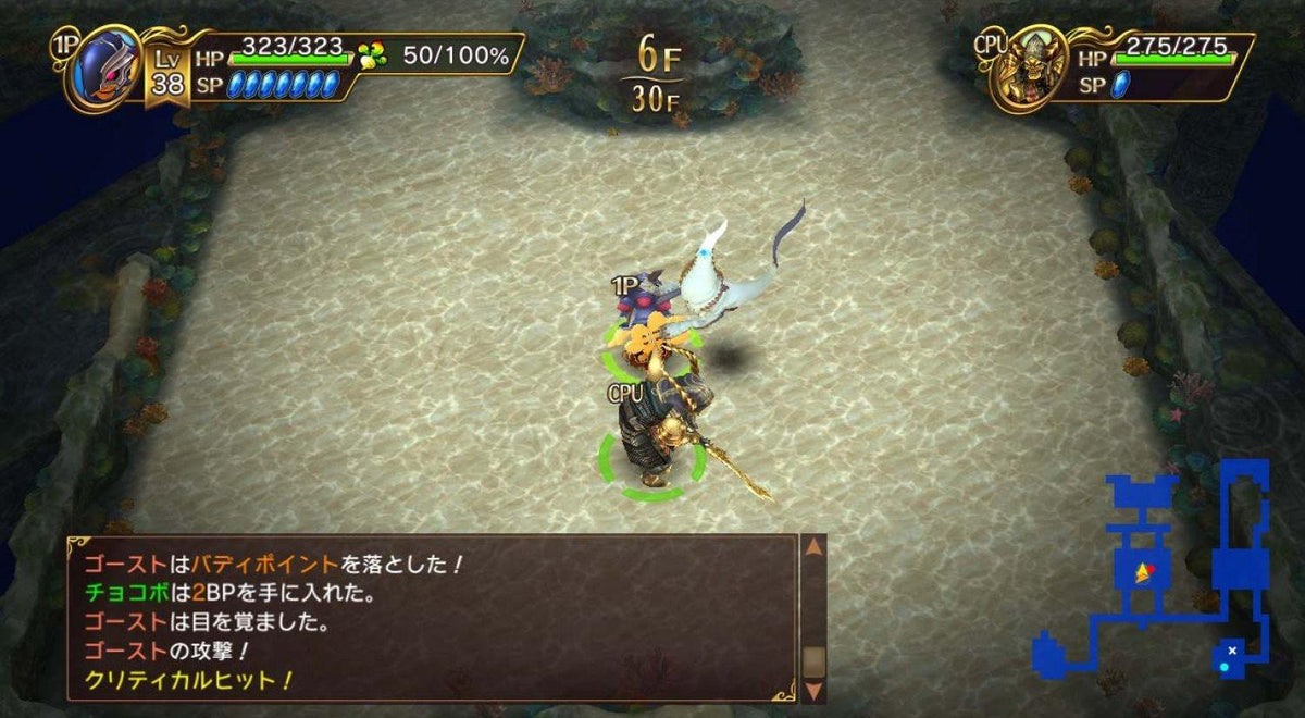 Nintendo Switch Chocobos Mystery Dungeon Everybuddy