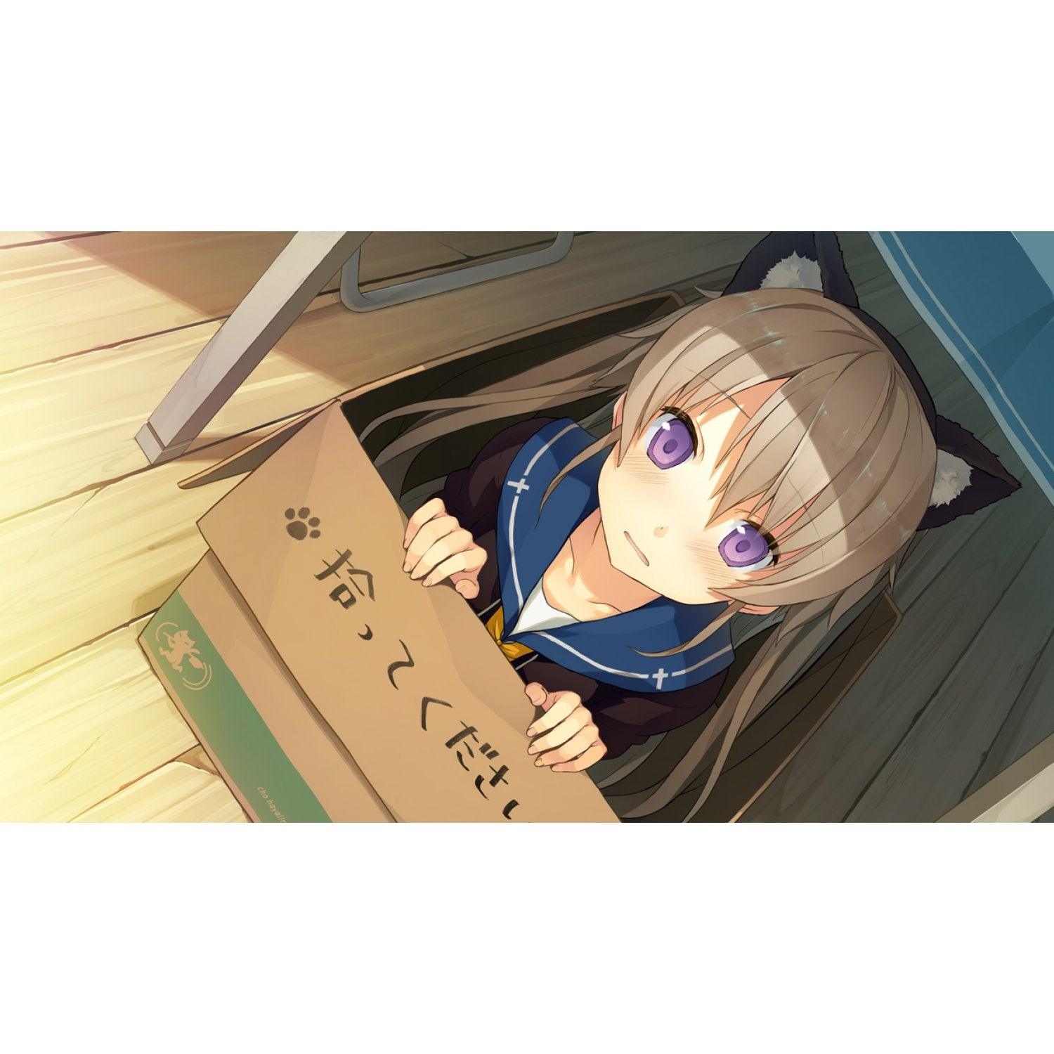 Nintendo Switch Aokana Four Rhythms Across The Blue (US) (Eng/Fr) - Datablitz