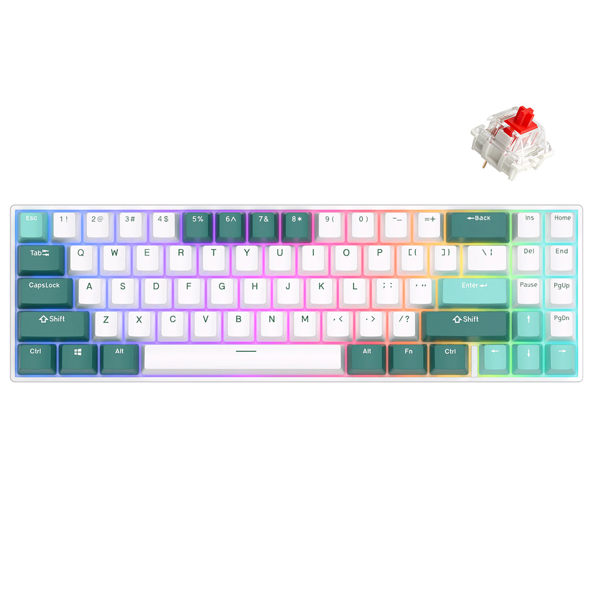Royal Kludge RK71 Tri-Mode RGB 71 Keys Hot Swappable Mechanical Keyboard Camp Green