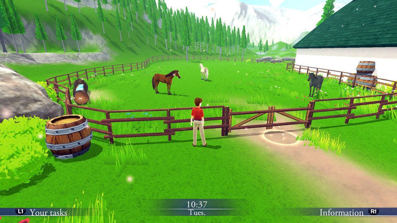 PS4 My Riding Stables Life With Horses All