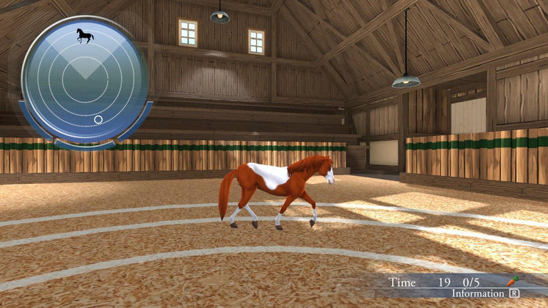 PS4 My Riding Stables Life With Horses All