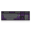 LEOPOLD 104-KEYS MECHANICAL KEYBOARD TWO-TONE GRAY/PURPLE KEYCAP + WHITE FONT (BLUE CLICK SWITCH) (FC900RC/EGPPD(B)) - DataBlitz