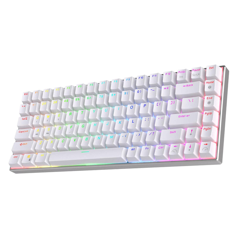 ROYAL KLUDGE RK84PRO TRI-MODE RGB 84 KEYS HOT SWAPPABLE MECHANICAL KEYBOARD WHITE (BROWN SWITCH) - DataBlitz