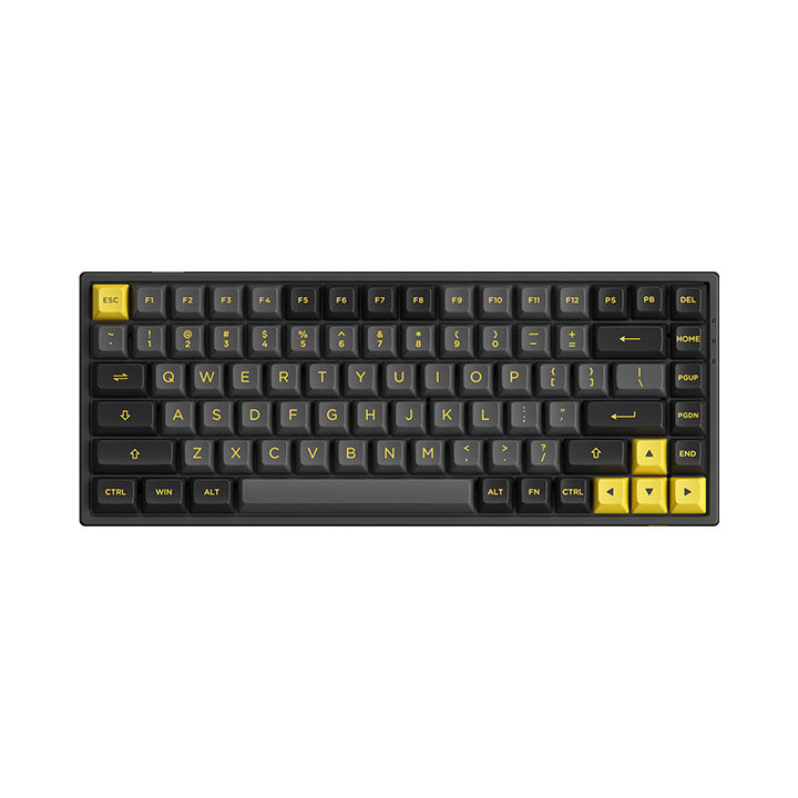 Akko Black & Gold 3084B Plus Multi-Modes RGB Mechanical Keyboard (Akko X TTC Princess)