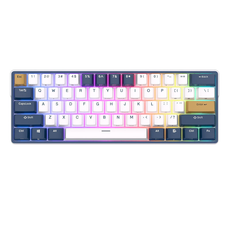 Royal Kludge RK61Plus Tri-Mode RGB 61 Keys Hot Swappable Mechanical Keyboard White (Sky Cyan Switch) - DataBlitz