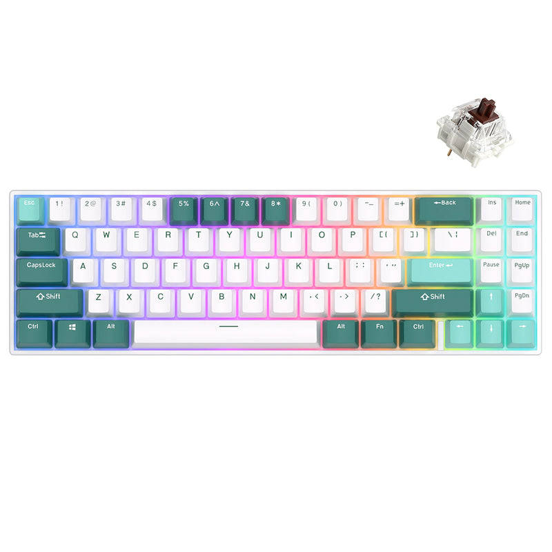Royal Kludge RK71 Tri-Mode RGB 71 Keys Hot Swappable Mechanical ...