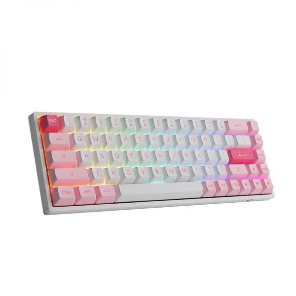 AKKO PRUNUS LANNESIANA 3068B MECHANICAL KEYBOARD (AKKO CS JELLY PURPLE) - DataBlitz
