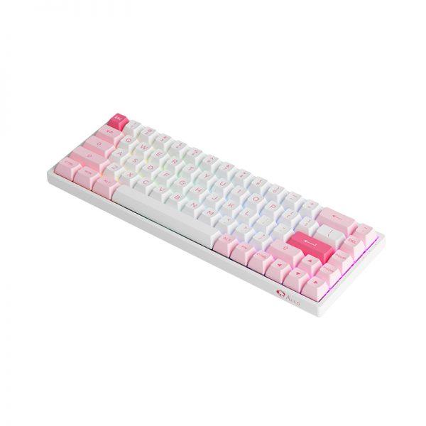 Akko Prunus Lannesiana 3068B Plus Multi-Modes RGB Mechanical Keyboard (Akko CS Jelly Pink) - DataBlitz